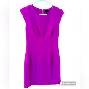 The Limited Cocktail Dress (Fuscha) - Size 2